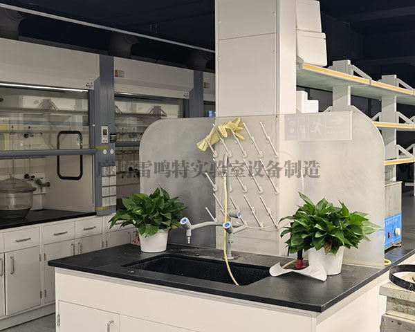 高標準實驗室建設，麻豆精品一区為什麽依靠硬核實力成為行業主流標配